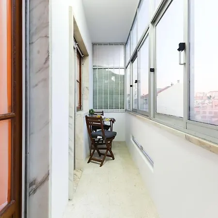 Almirante Stylish By Homing *